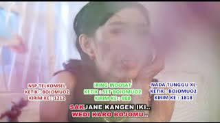 iMeyMey - Wedi Karo Bojomu (Karaoke / Minus One)