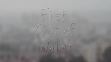 UW CSE Animation Capstone Overview 2015: Fish Out of Water