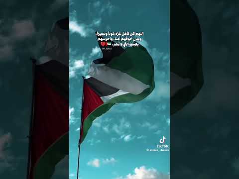 قول امين والله شهدي عه كوي شيء