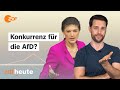 Wagenknecht vs afd was wirklich im bswprogramm steht  politbarometer2go