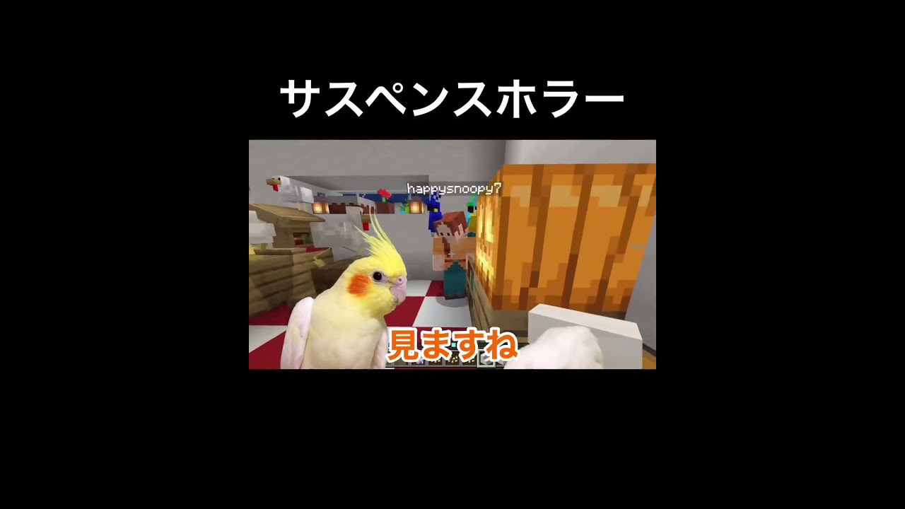 鳥限定マイクラ参加型に紛れるサイコパス #オカメインコ #ウーです #文鳥 #birds #マイクラ参加型 #マイクラ #minecraft
