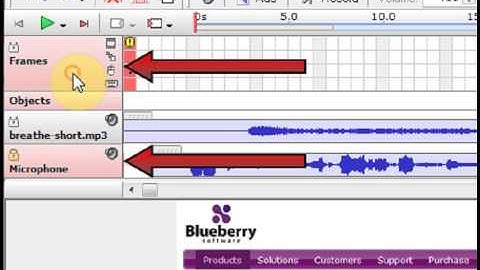 BB FlashBack User Guide: Editing Sound & Video