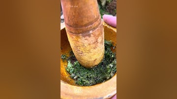 Cách Trị Viêm Mũi, Viêm Xoang Bằng Cây Cứt Lợn