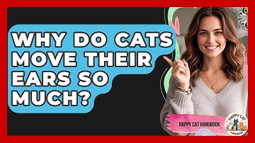 Why Do Cats Move Their Ears So Much? - Happy Cat Handbook