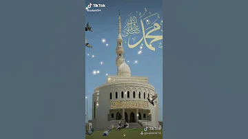 صلوا عليه شفيع الامه في ذكر الرسول تشهد الهمه 