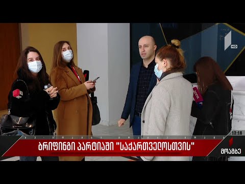 ბრიფინგი პარტიაში „საქართველოსთვის“