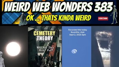 weird web wonders 383