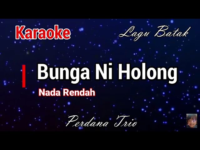Karaoke : Bunga ni Holong (nada rendah) class=