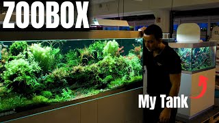 3 HOURS TO SCAPE A TANK IN THE BEST FISH STORE IN GERMANY! by MJ Aquascaping 52,488 views 3 months ago 20 minutes