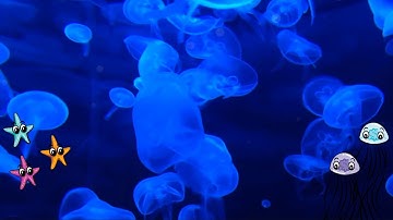 Improvising ambient music | using only 8 tracks | ableton lite gang