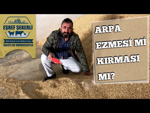 Arpa Ezmesi mi Arpa Kırması mı? #Arpa