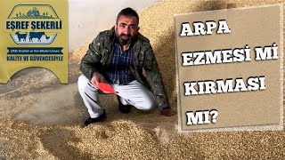 Arpa Ezmesi Mi Arpa Kırması Mı? 