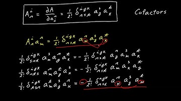 Video 47 - Cofactoren