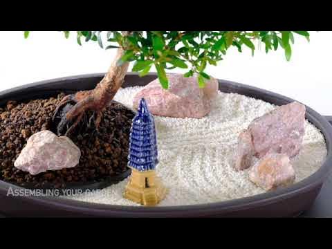 500 Garden Zen: Bonsai ideas  bonsai, bonsai garden, bonsai plants