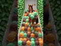 No no no #funny #trending #shortsfeed