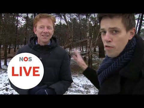 LIVE: Er komt meer winters weer aan, waar moet je rekening mee houden?