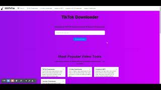 How to download TikTok without watermark?