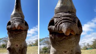 Die Besten Videos 2025 Stern Dutube