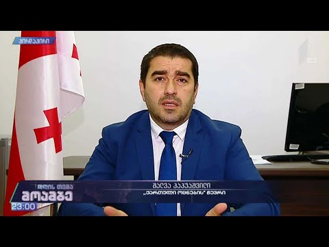 „დღის თემის“ შეკითხვებს შალვა პაპუაშვილმა უპასუხა