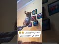 لما القطه تيجبلك الا نفسك فيه ضحكة من القلب