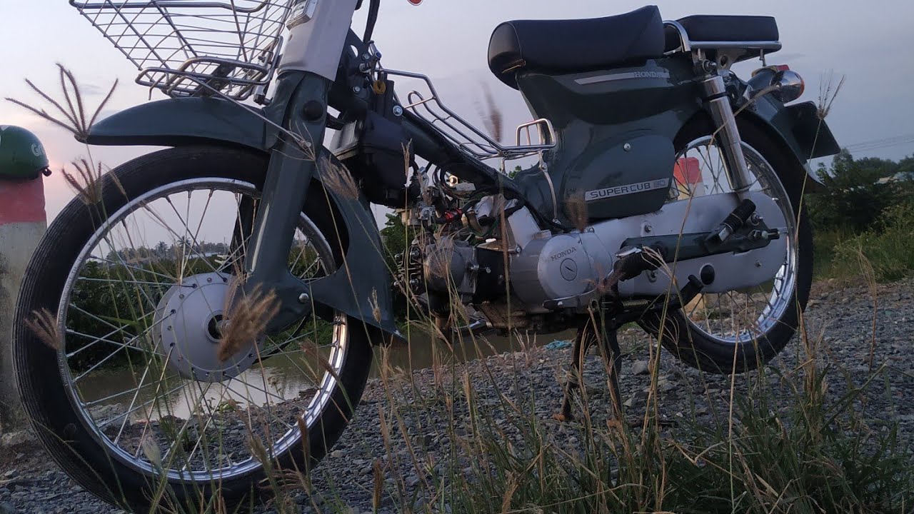 Xe cub 81 mới