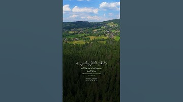 سورة القيامة  | 25- 36 | القارئ أحمد النفيس #قران #قران_كريم