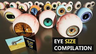 Eye Weight Comparison | Biggest Eyes size comparison