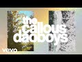 The callous daoboys featuring pulses  designer shroud of turin official visualizer