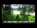 VIM 3 DIAV MOV