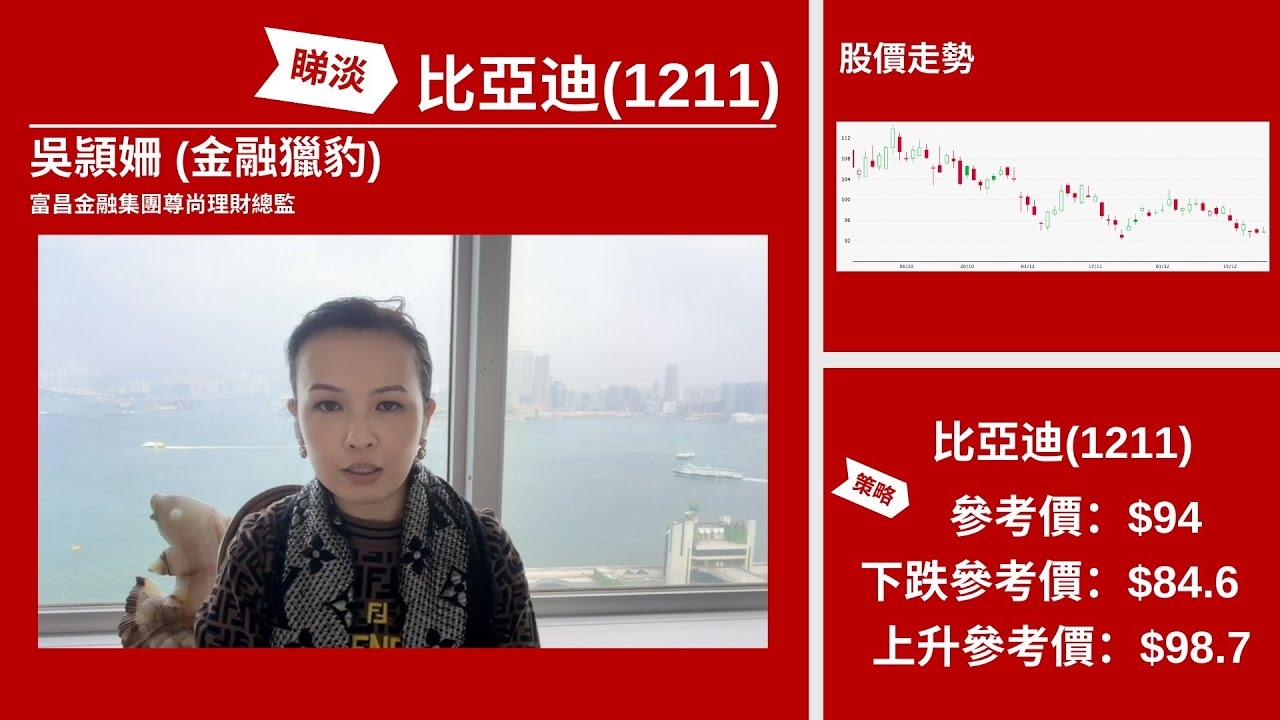 【星級輪證】搏比亞迪再大跌一棍 負面因素無停過