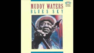 Muddy Waters -  Who do you trust