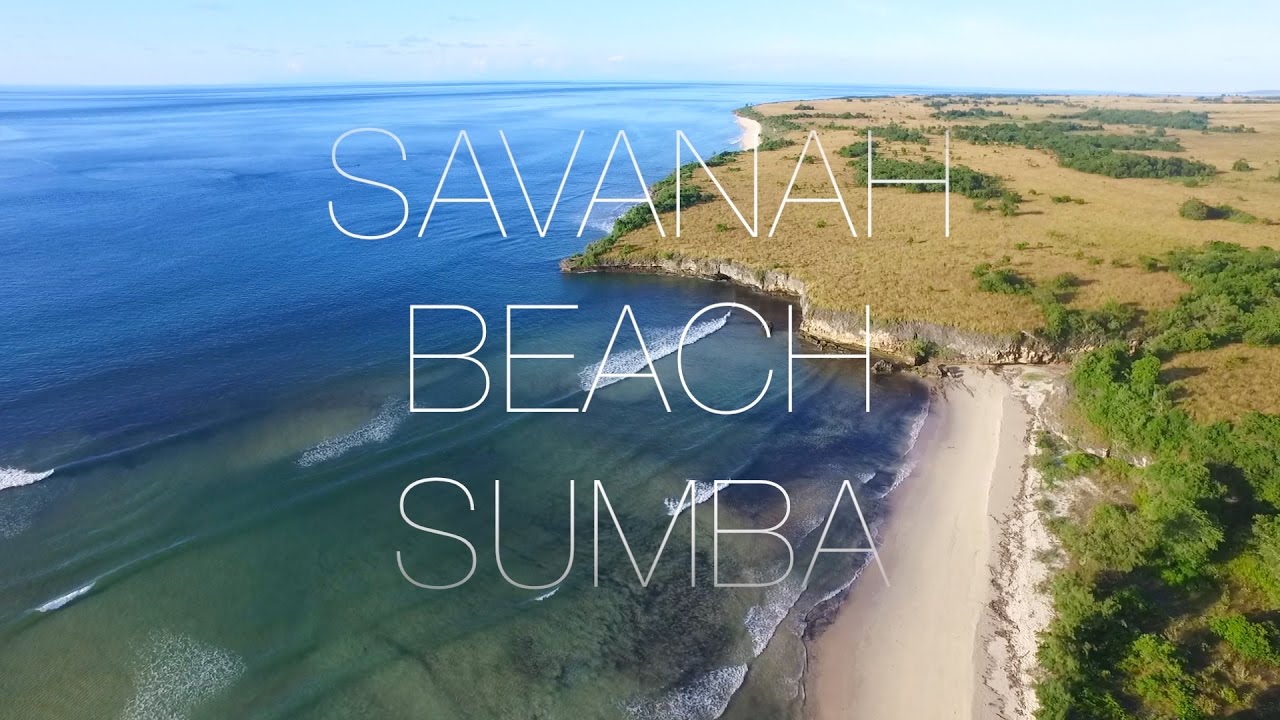 Land For Sale in Sumba Savanah Beach YouTube