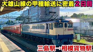 大雄山線5000系の甲種輸送に密着【２日目】三島駅→相模貨物駅