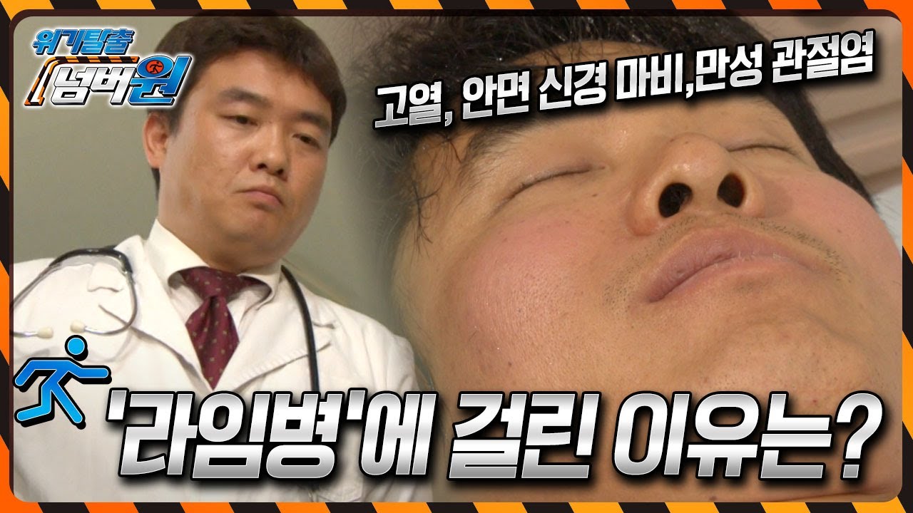 붉은 반점이 나타나며 심한 고열에 안면 신경 마비까지... 심한 경우 죽음에 이르게 하는 '라임병'! 라임병에 걸리게 된 이유는? [위기탈출 넘버원] KBS 121001 방송