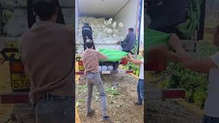 Amazing Efficiency How Farmers Load 100 Cabbages In Seconds