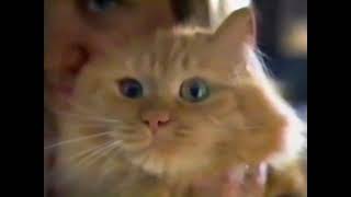 Purina One (2008) Television Commercial