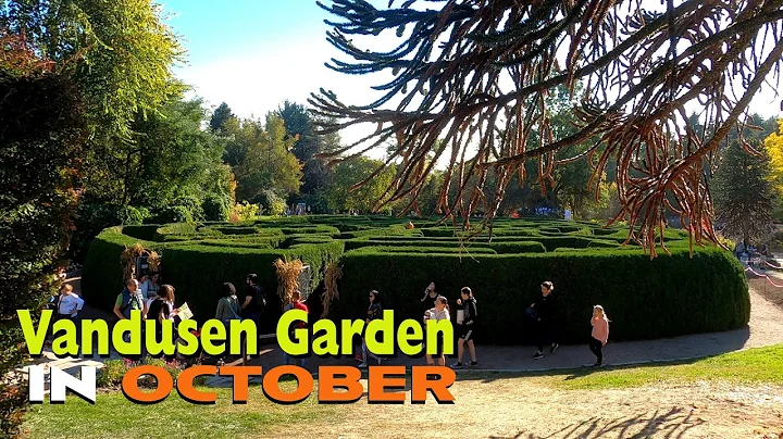 Vancouvers Vandusen Botanical Garden - October Hig...