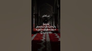 وَقَالَ رَبِّ أَوْزِعْنِي أَنْ أَشْكُرَ نِعْمَتَكَ  || سورة النمل || علي جابر