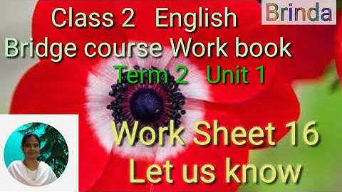 Class 2 WS 16 English Bridge course work book work sheet 16 Let us know   @BRINDA 