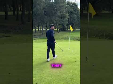 This Temu Putter Is Actually QUITE GOOD? 🤯