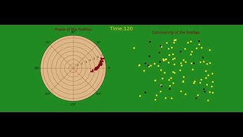 Glimmering of the fireflies (Distance dependent Kuramoto model)