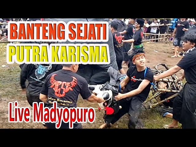 BANTENGAN SEJATI PUTRA KARISMA FEAT - BANTENGAN KERAMAD -PUTRA RINGIN MADYOPURO LIVE MADYOPURO class=