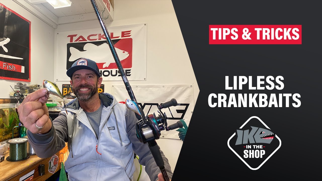 Bass Fishing with a LIPLESS Crankbait (Tips & Tricks) 