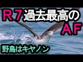 過去最高のAF！異次元の R7