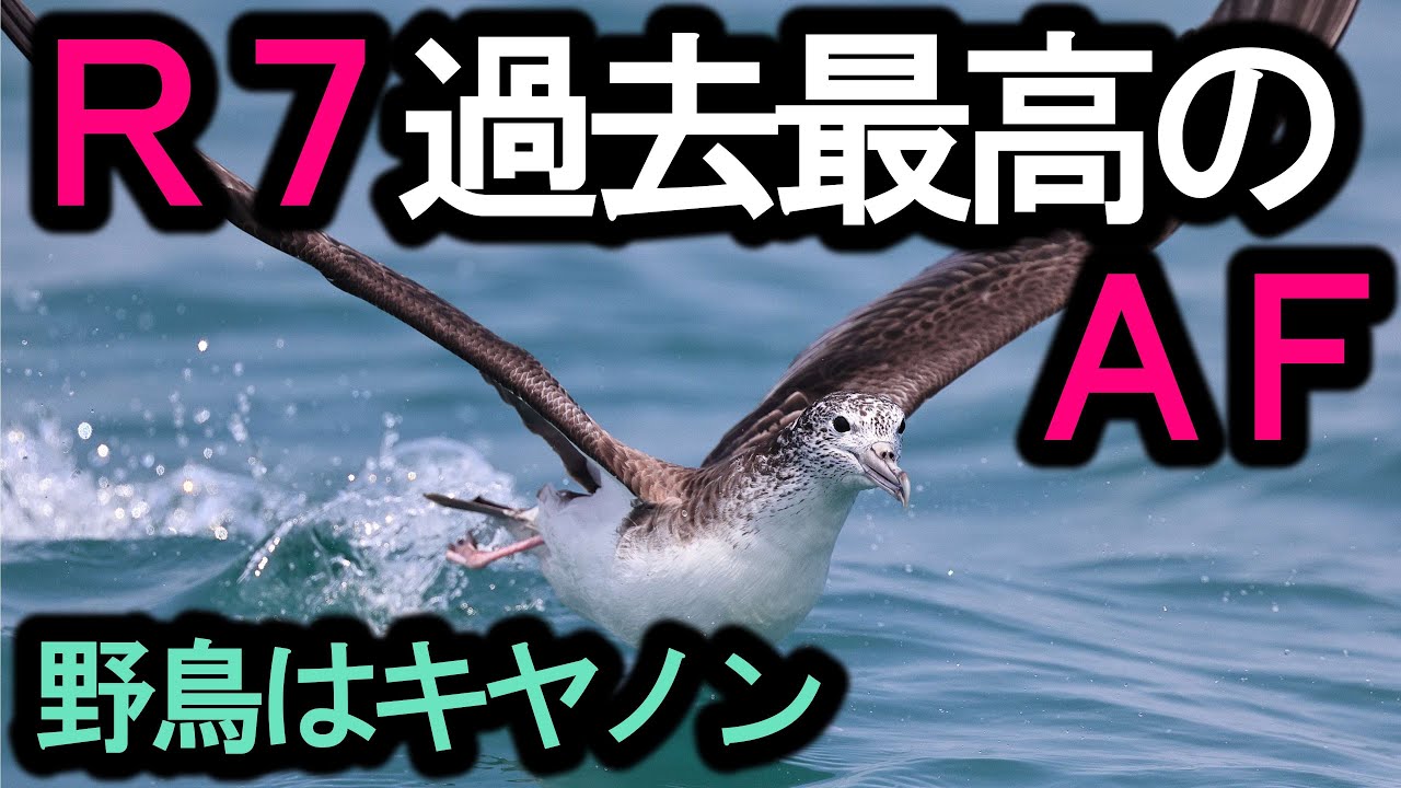 過去最高のAF！異次元の R7 - YouTube