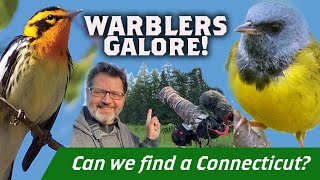 How many warblers can we FILM in Sax-Zim? Virtually Live 38