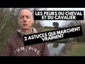 Les peurs du cheval et du cavalier  2 astuces qui marchent vraiment