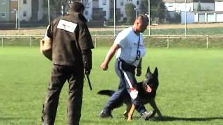 Michael Kurz Mit Arek Vom Kleinen Landhaus Lga 2008 Schutzdienst