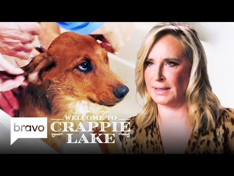 Luann de Lesseps and Sonja Morgan Visit The Animal Shelter | Welcome To Crappie Lake (S1 E5) | Bravo