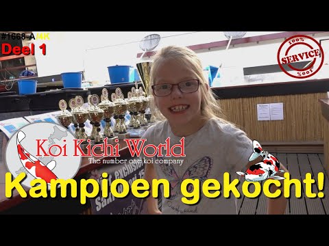 Bezoek aan Koi Kichi World in RidderKerk. Mokashi en Tancho karpers Deel 1 #1668-A